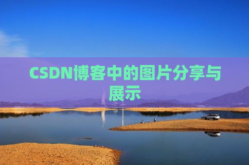 CSDN博客中的图片分享与展示
